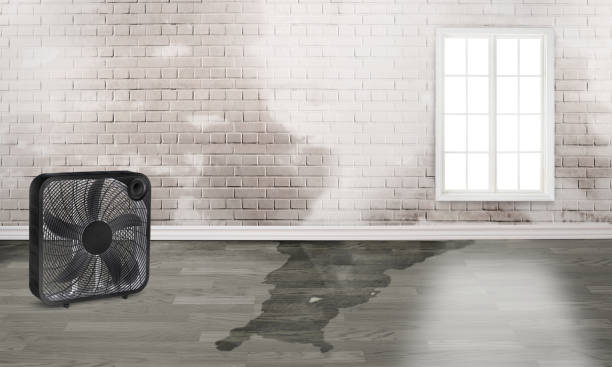 Best Emergency water damage restoration  in Reading, PA
