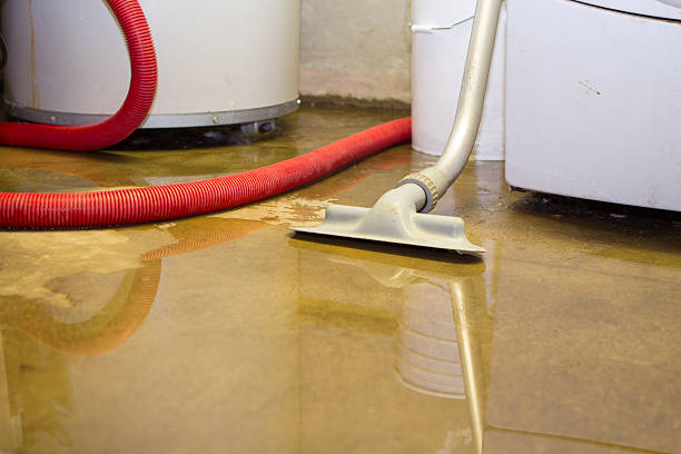 Best Water damage restoration insurance claims  in Reading, PA