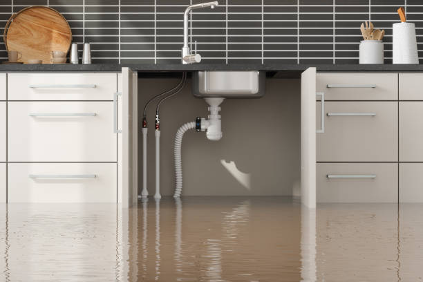 Best Emergency water damage restoration  in Reading, PA